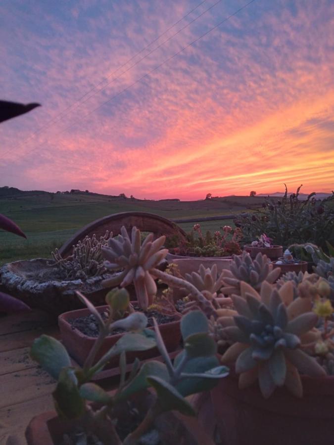 Agriturismo Enjoy Sunset Cinigiano Exteriér fotografie