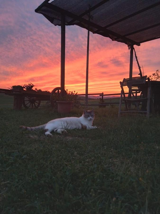 Agriturismo Enjoy Sunset Cinigiano Exteriér fotografie